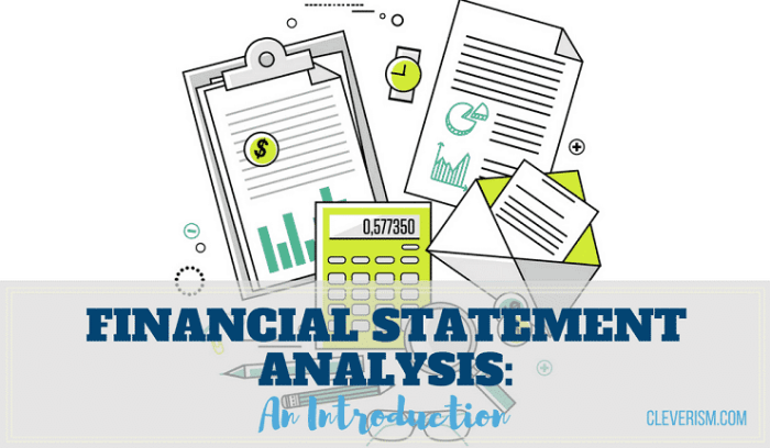 Financial statement analysis and the prediction of stock returns