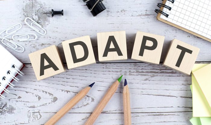 Adaptability developing increasing environment businesses Adaptability developing increasing environment businesses