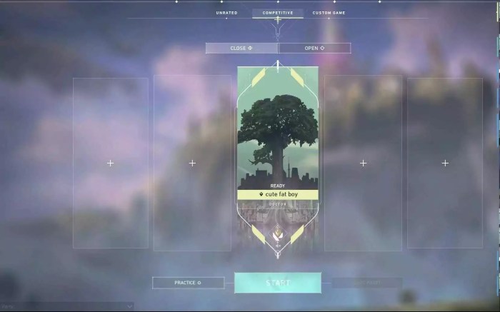 Solo queue