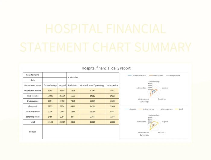 Financial statement analysis in healthcare
